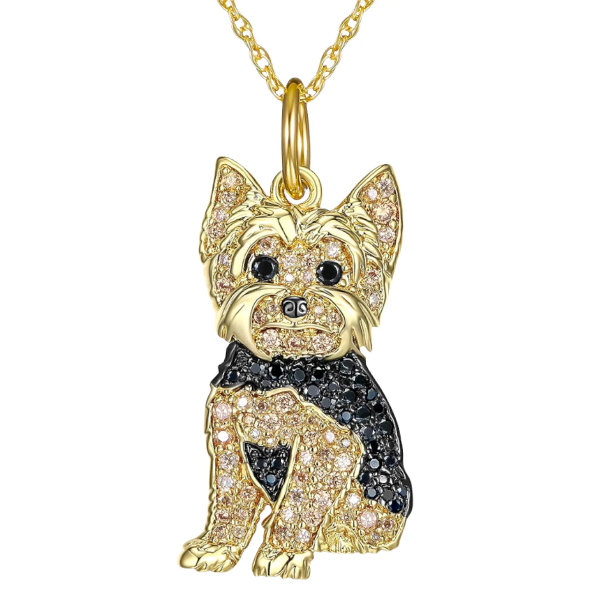 Halsband för hundälskare - välj din favoritras