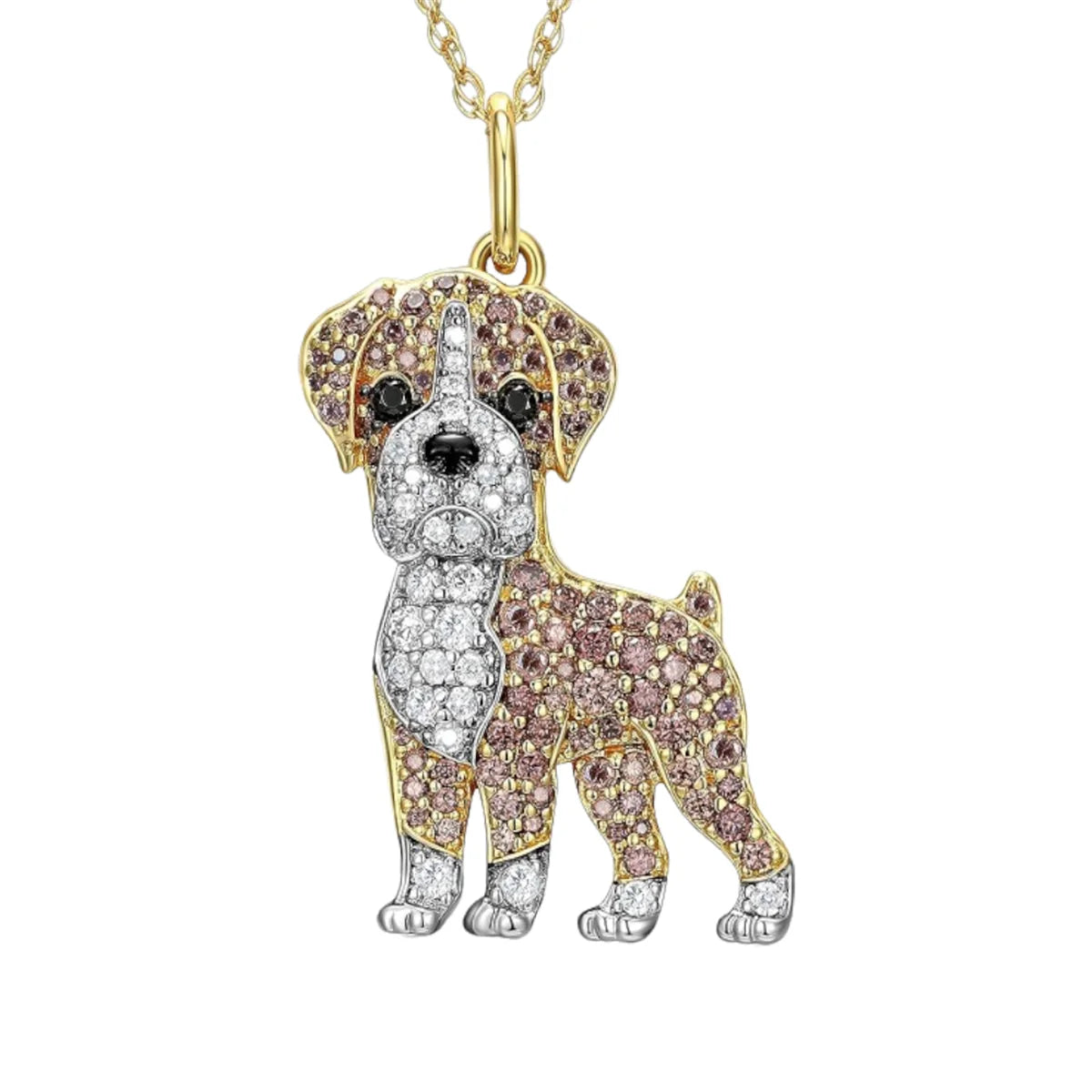 Halsband för hundälskare - välj din favoritras
