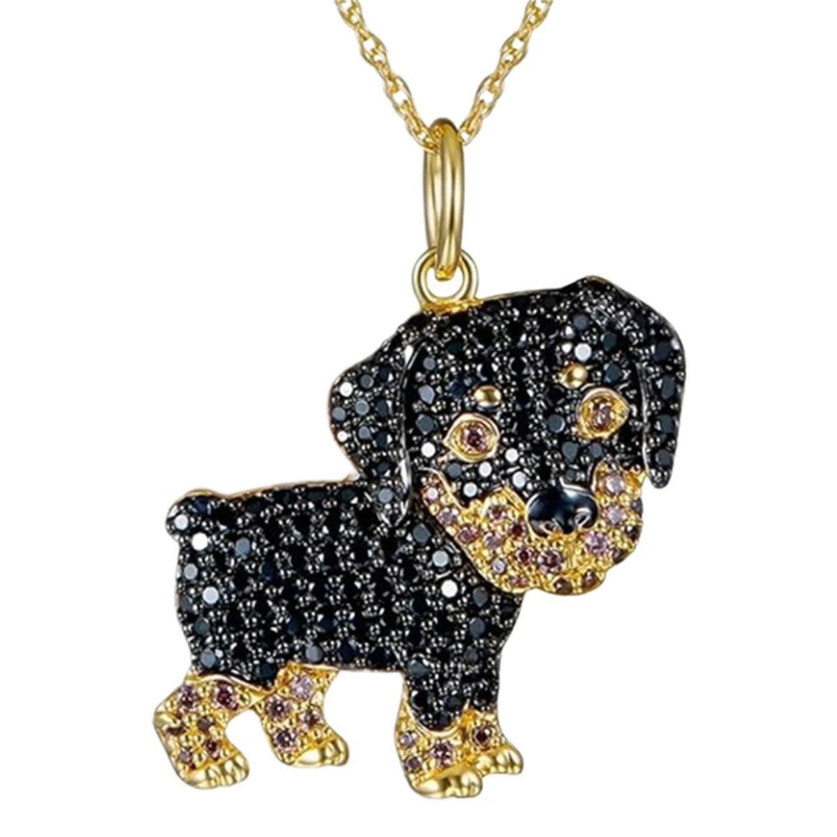 Halsband för hundälskare - välj din favoritras